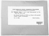 Image Associated With the Occurence